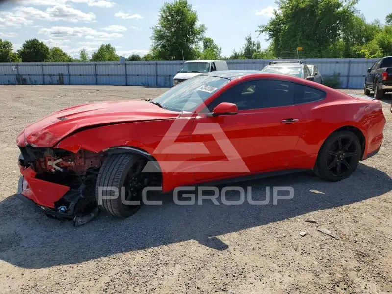 2019 Ford MUSTANG фото