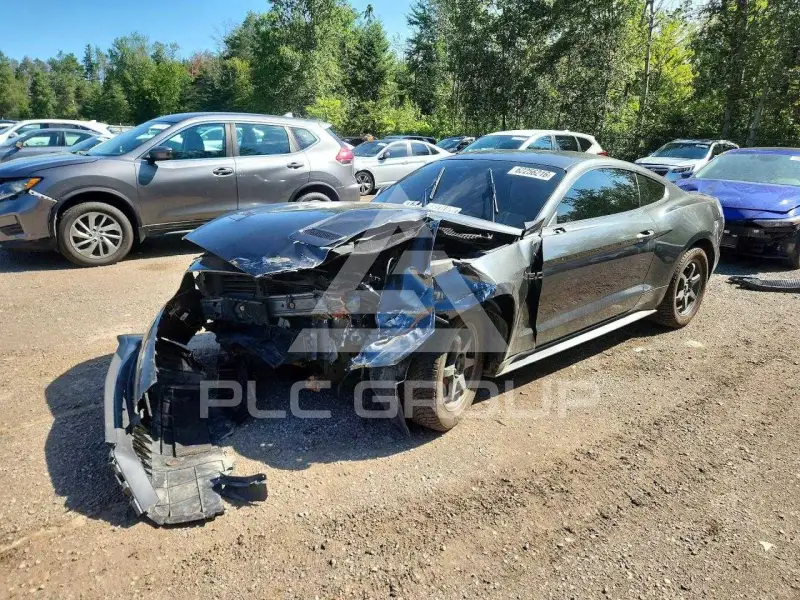 2019 Ford MUSTANG фото