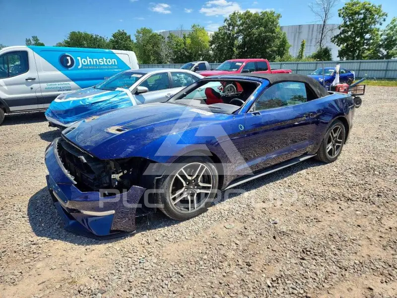 2019 Ford MUSTANG фото