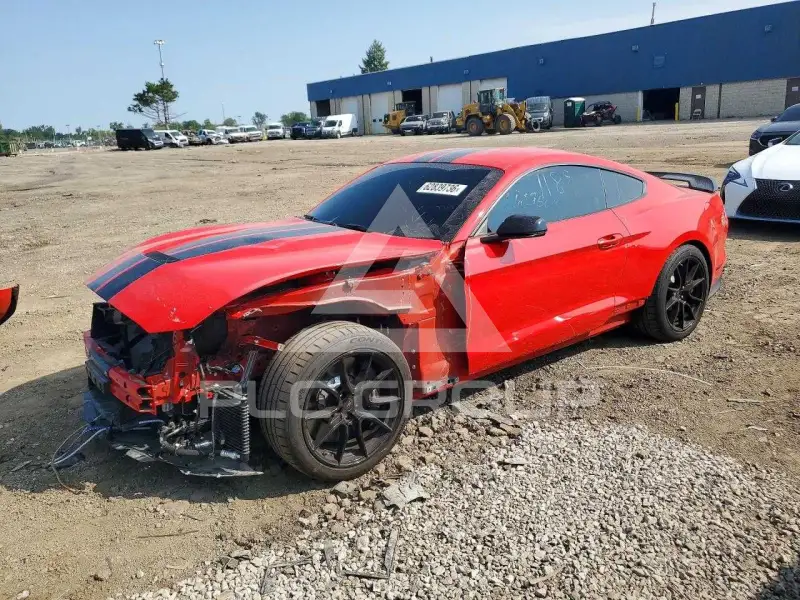 2019 Ford MUSTANG фото