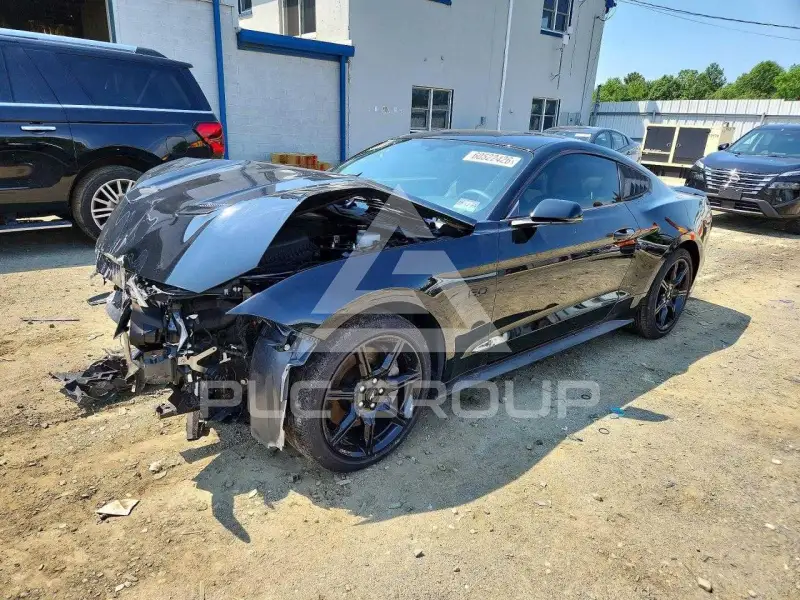 2019 Ford MUSTANG photo