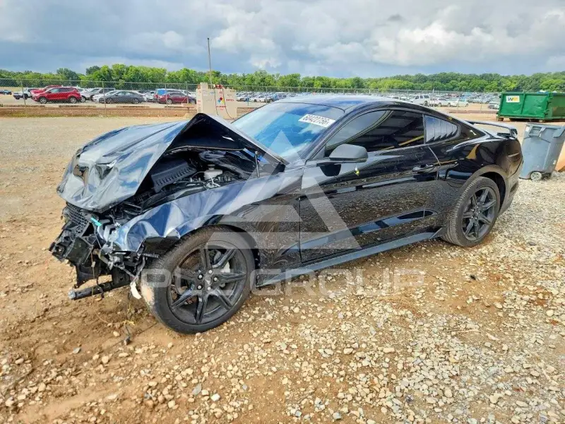 2019 Ford MUSTANG фото