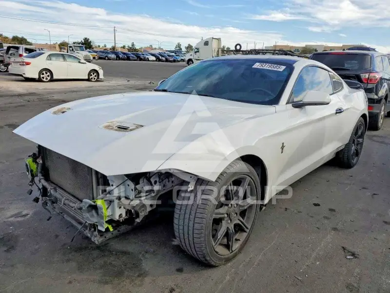 2019 Ford MUSTANG фото