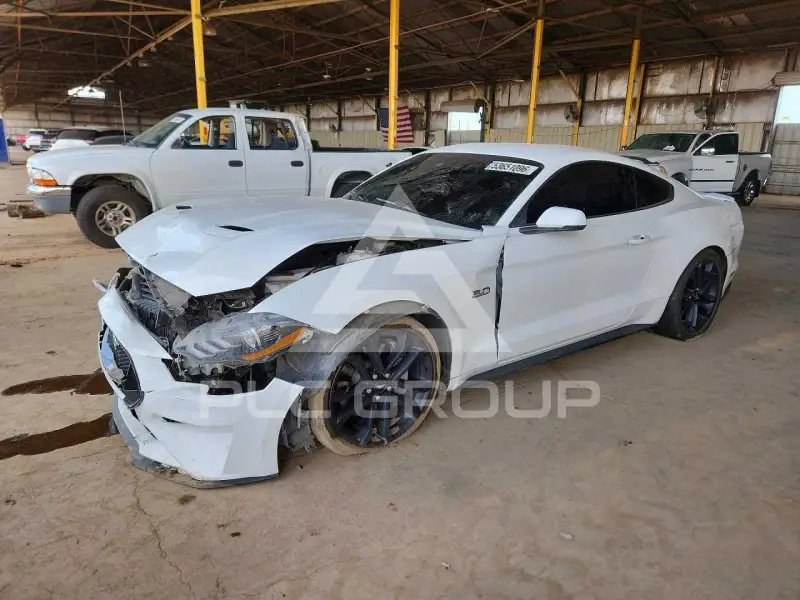 2019 Ford MUSTANG photo