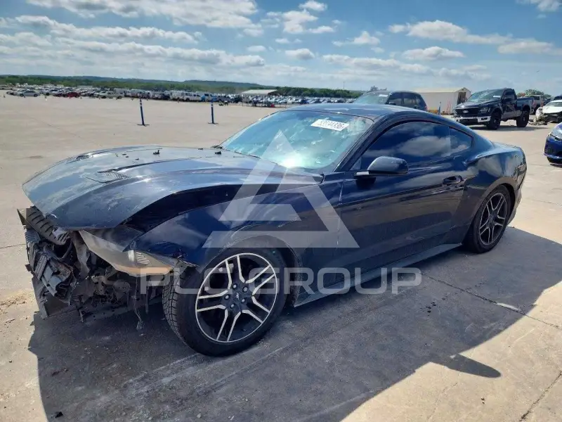 2019 Ford MUSTANG photo
