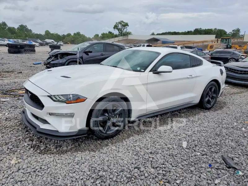 2019 Ford MUSTANG фото