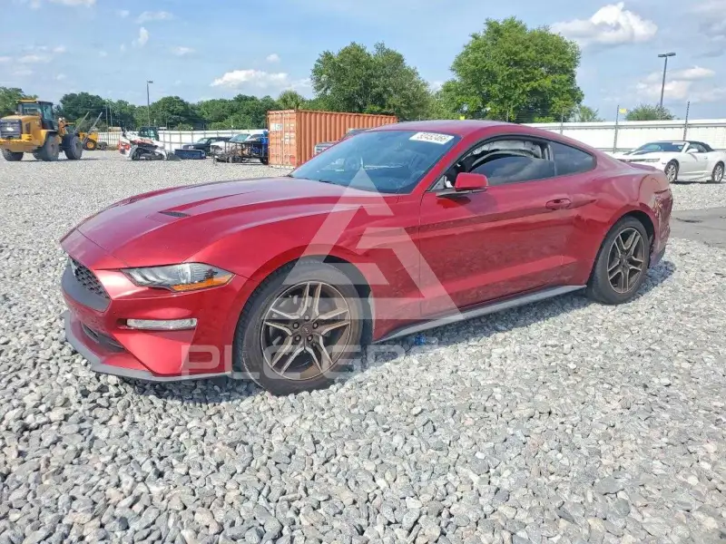 2019 Ford MUSTANG фото