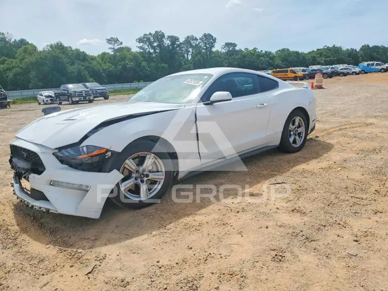 2019 Ford MUSTANG photo