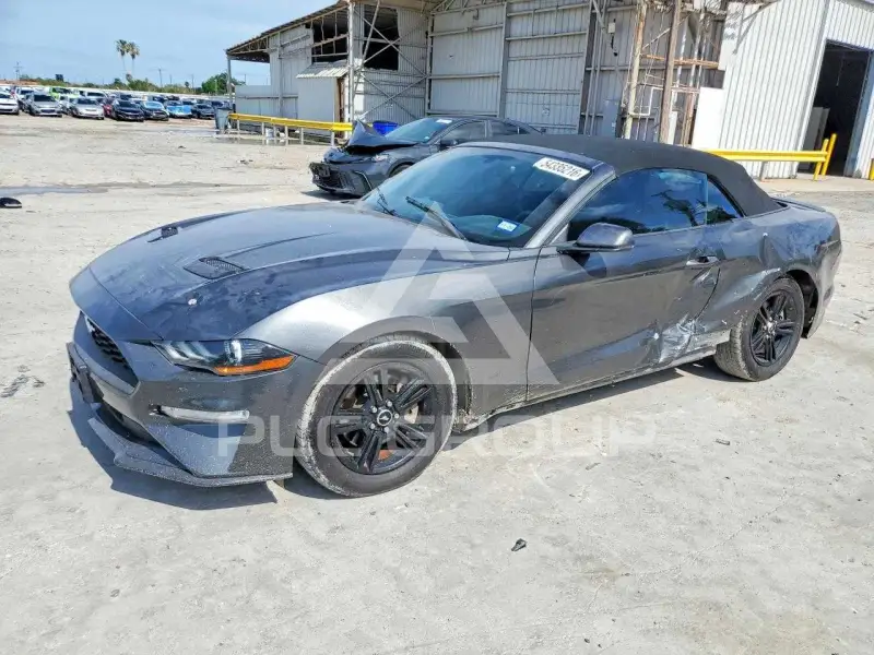 2019 Ford MUSTANG фото