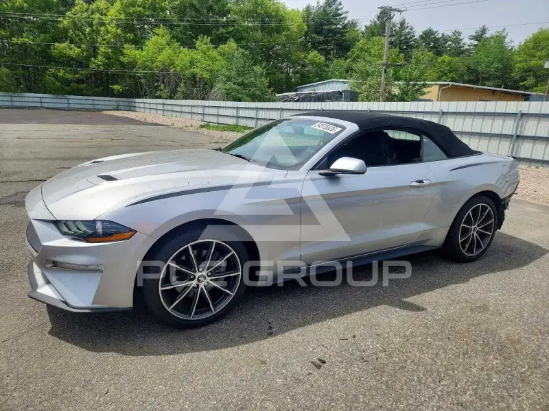 2019 Ford MUSTANG фото