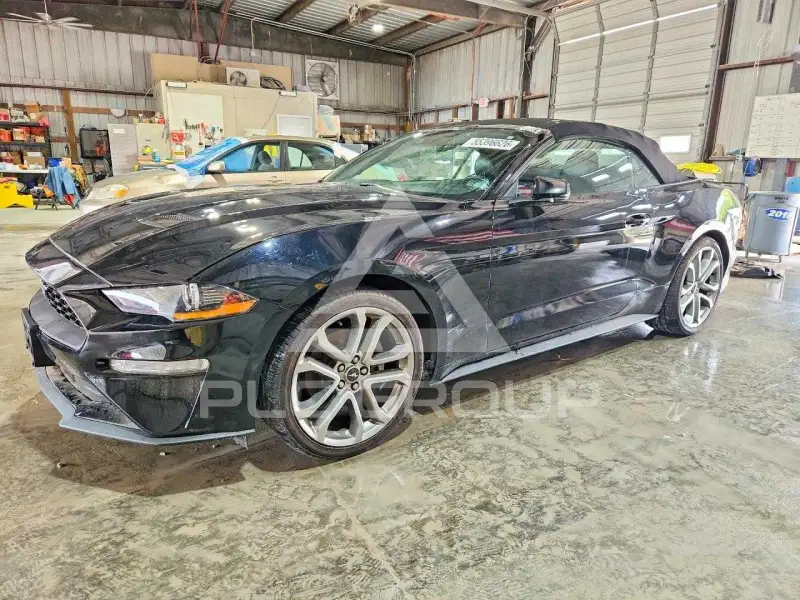 2019 Ford MUSTANG photo