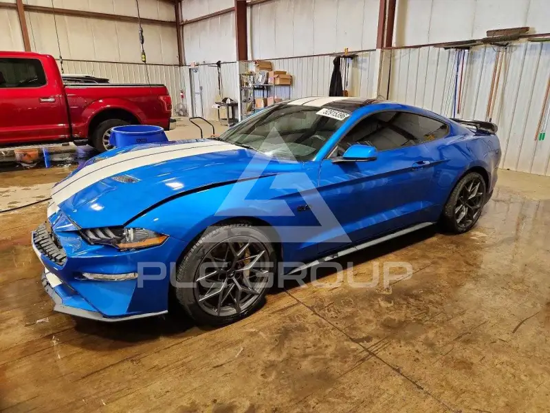 2019 Ford MUSTANG фото