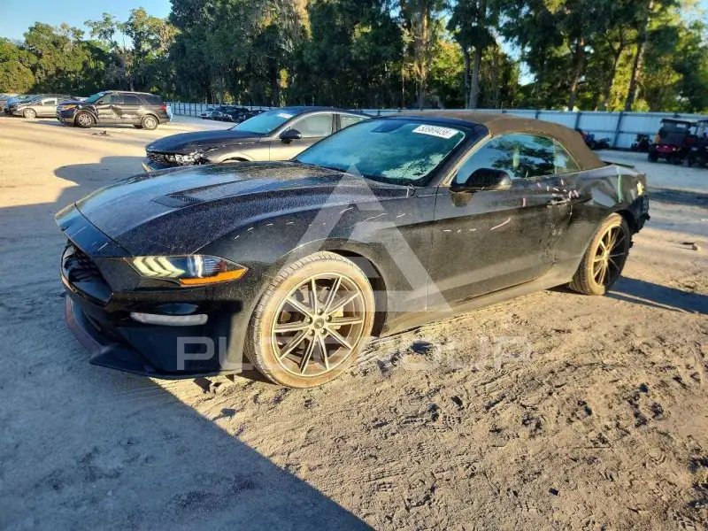 2019 Ford MUSTANG фото