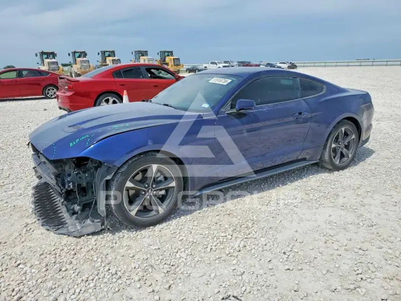 2019 Ford MUSTANG фото