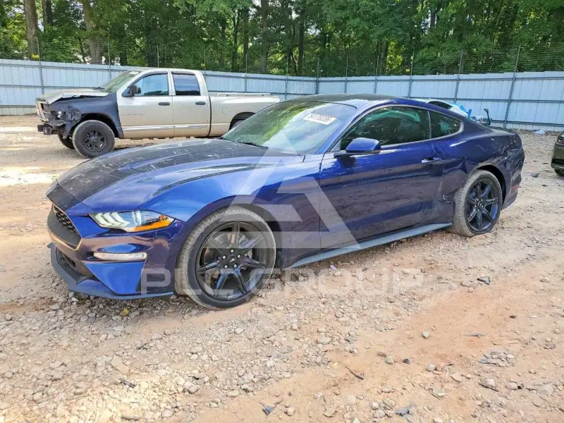 2019 Ford MUSTANG photo