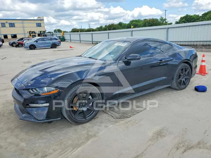 2019 Ford MUSTANG фото