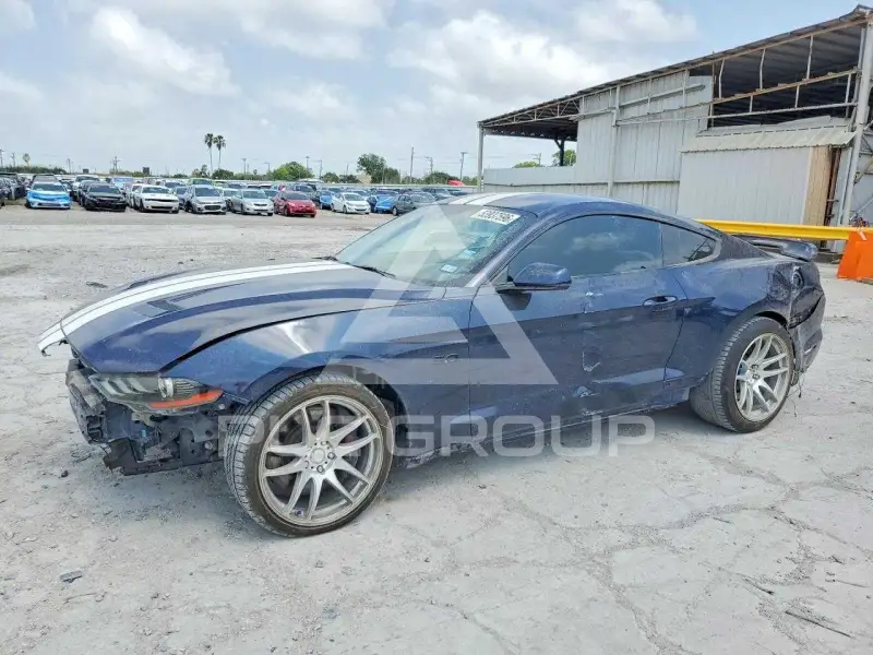 2019 Ford MUSTANG photo