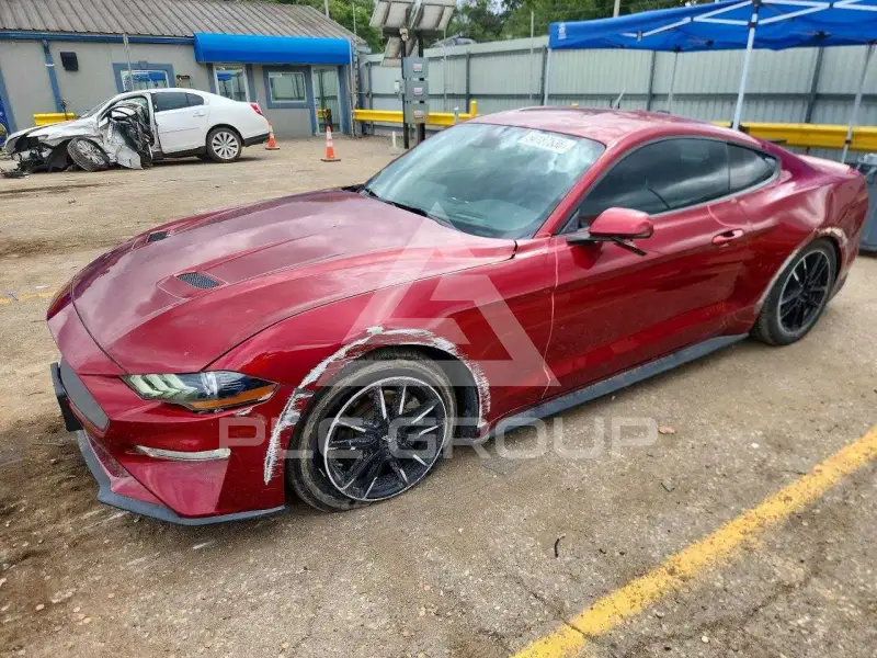 2019 Ford MUSTANG photo