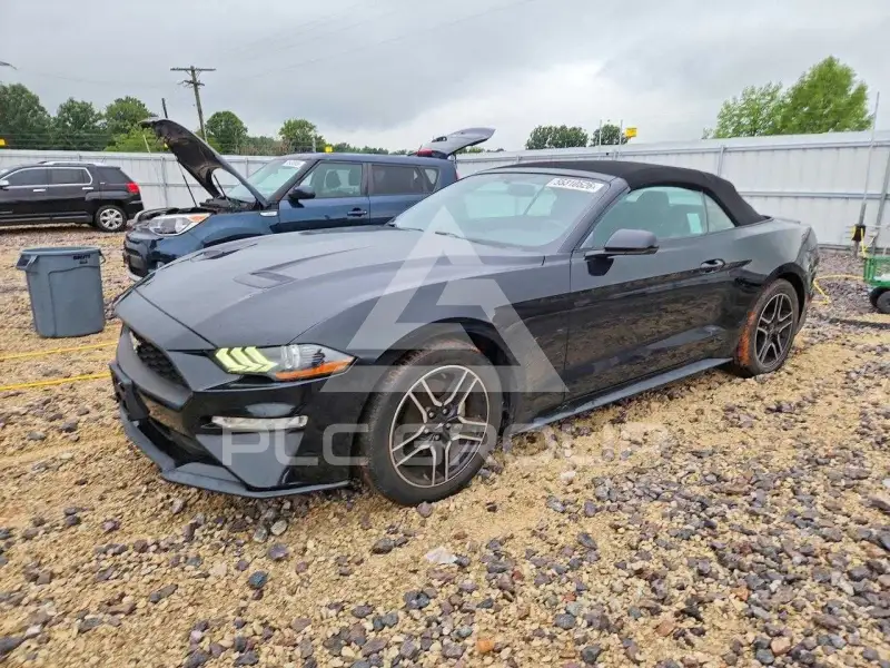 2019 Ford MUSTANG photo