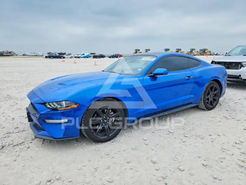 2019 Ford MUSTANG photo