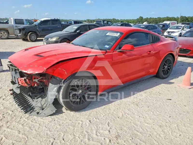 2019 Ford MUSTANG photo