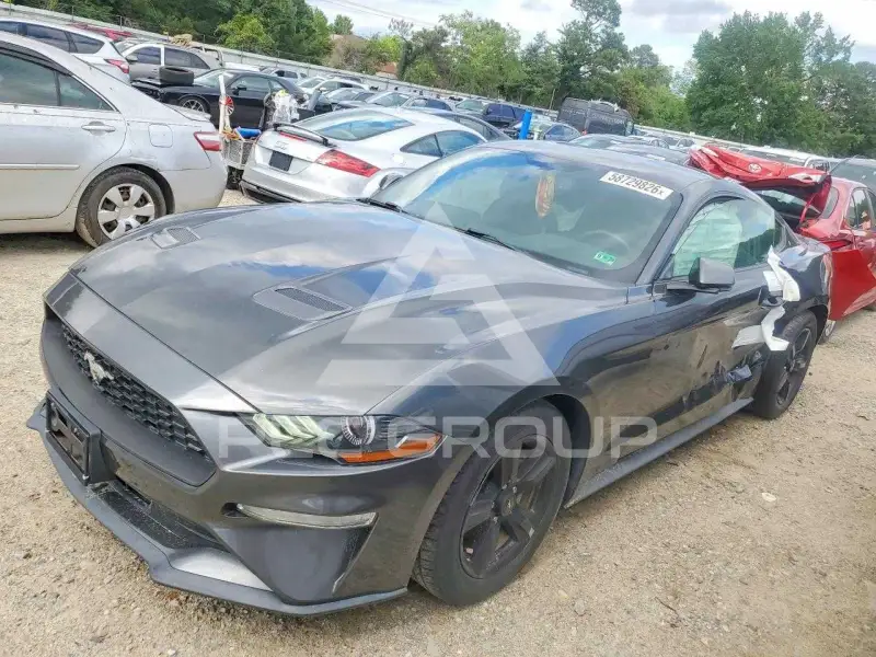 2019 Ford MUSTANG photo
