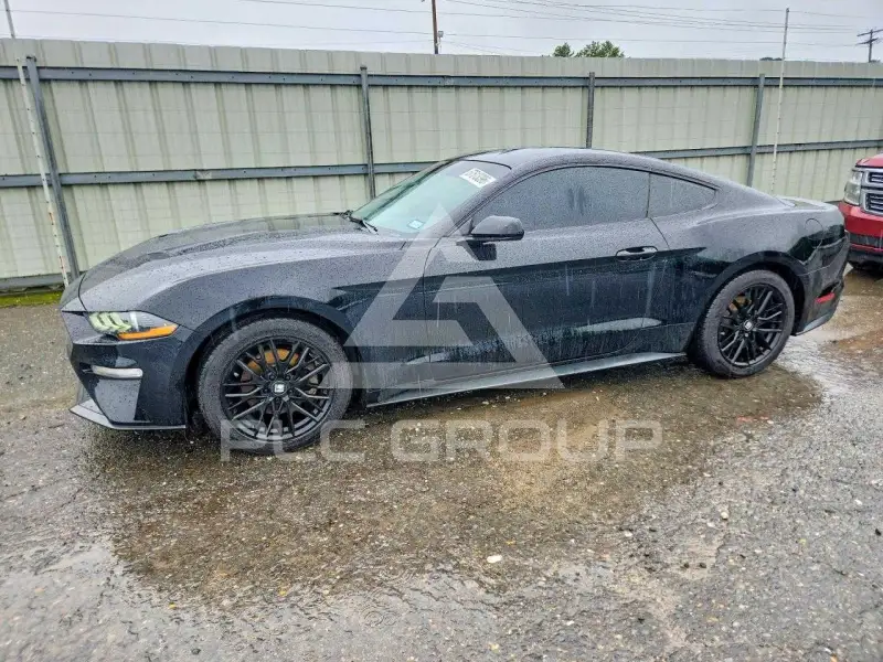 2019 Ford MUSTANG photo