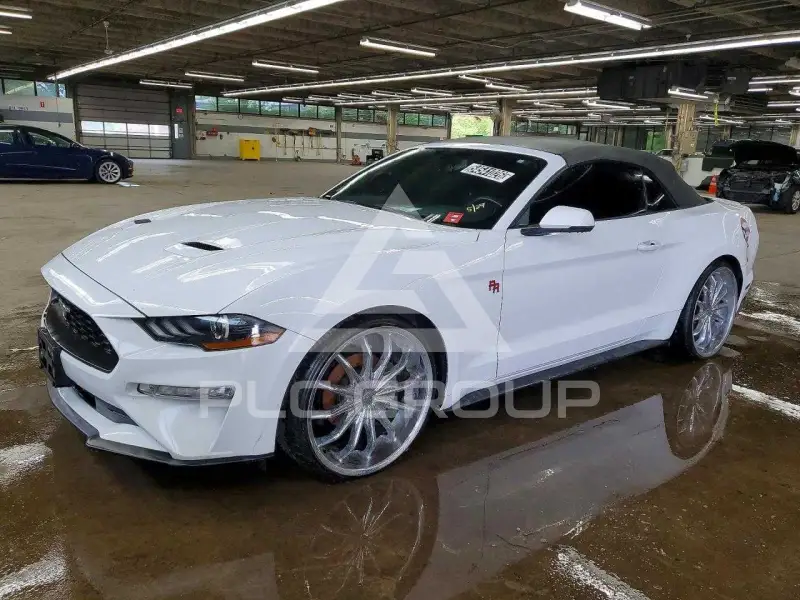 2019 Ford MUSTANG photo