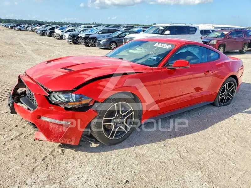 2019 Ford MUSTANG фото