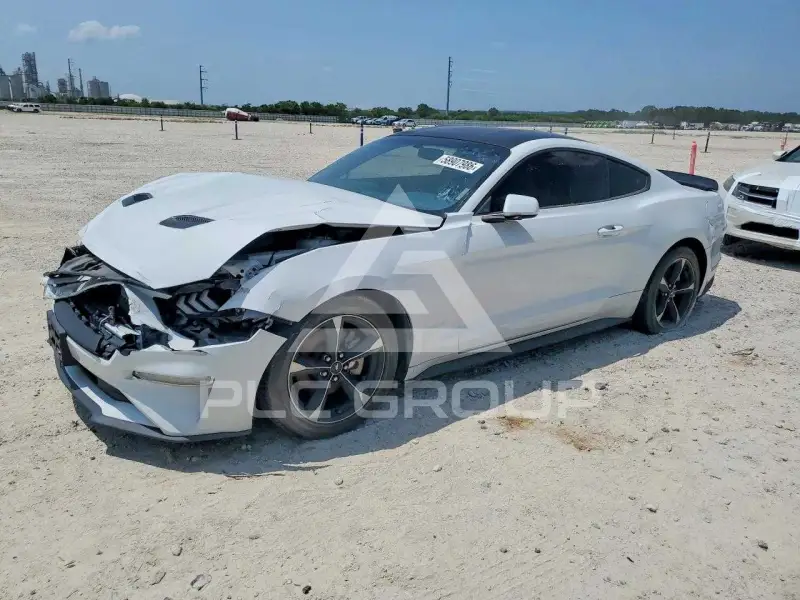 2019 Ford MUSTANG photo