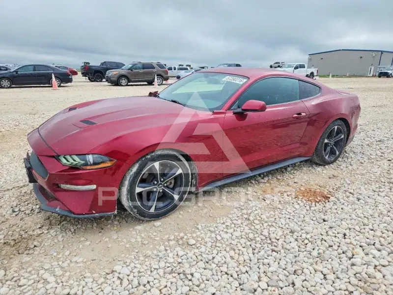 2019 Ford MUSTANG фото