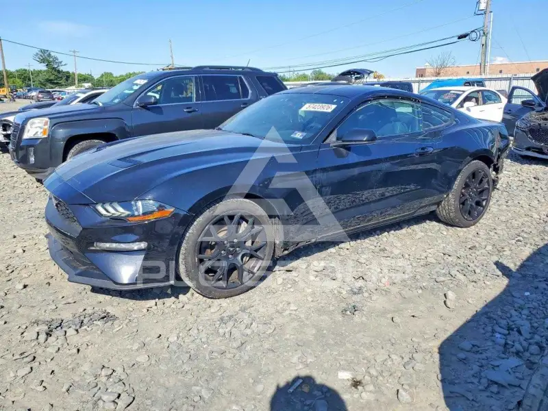 2019 Ford MUSTANG фото