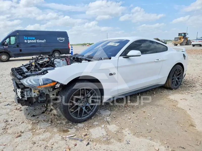2019 Ford MUSTANG photo