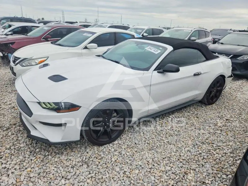 2019 Ford MUSTANG фото