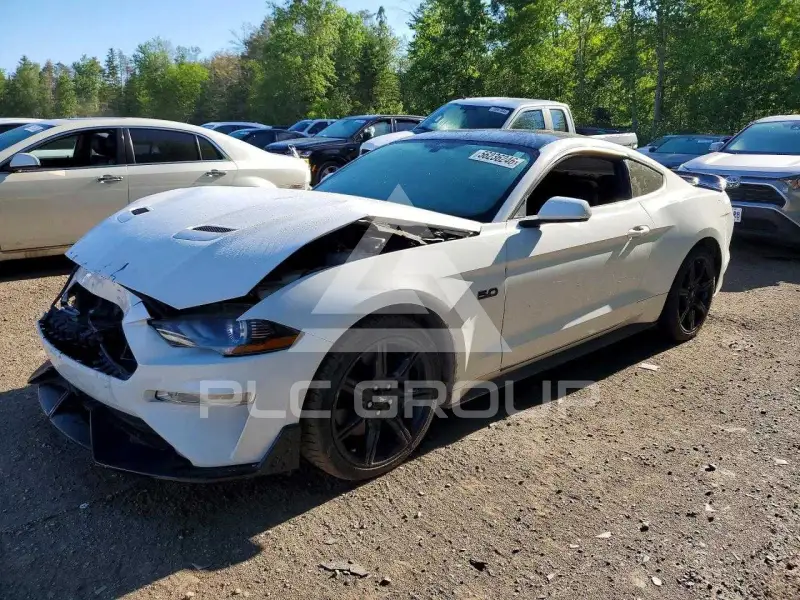 2019 Ford MUSTANG фото