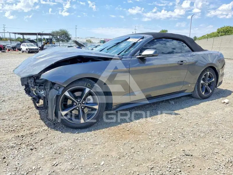 2019 Ford MUSTANG photo