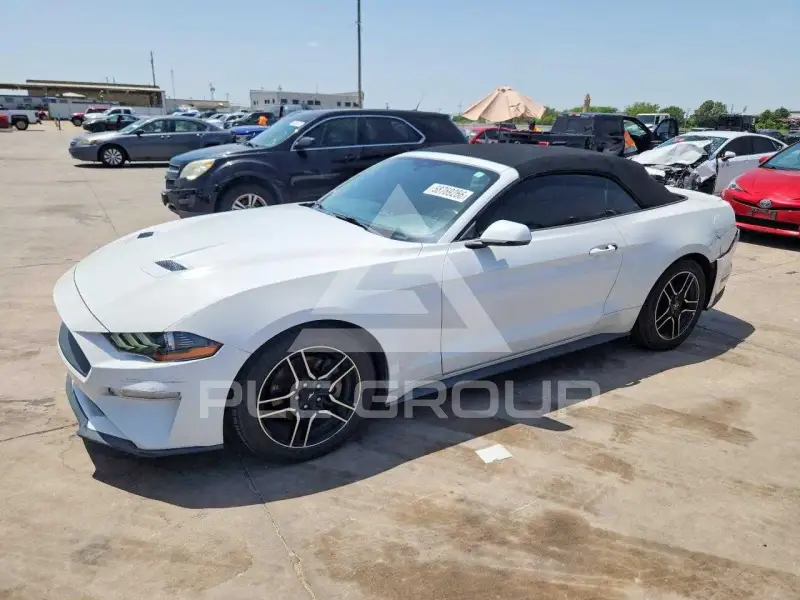 2019 Ford MUSTANG photo