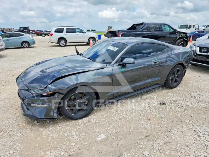 2019 Ford MUSTANG фото