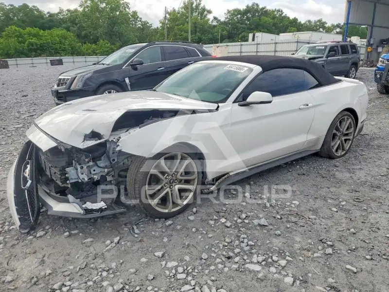 2019 Ford MUSTANG photo