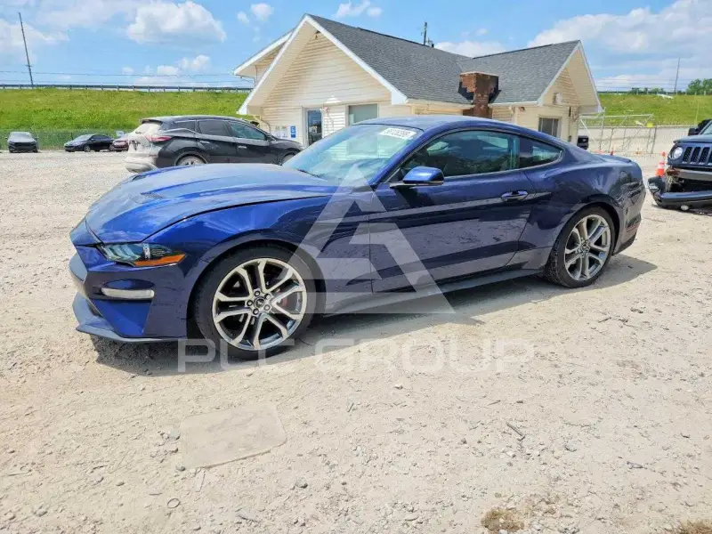 2019 Ford MUSTANG фото