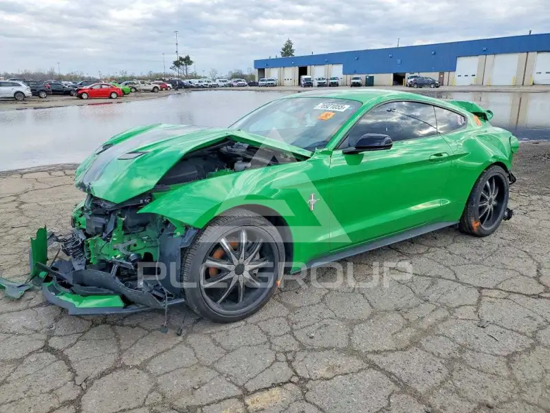 2019 Ford MUSTANG photo