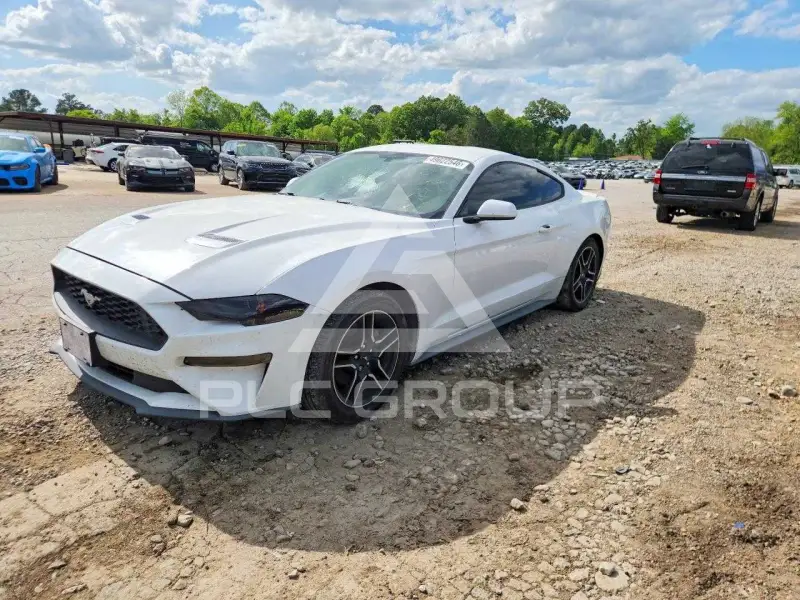 2019 Ford MUSTANG photo