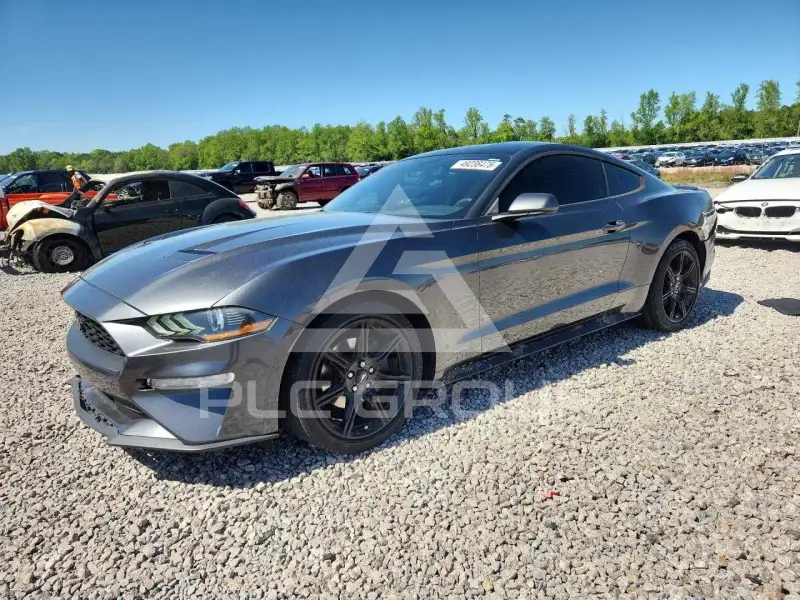 2019 Ford MUSTANG фото