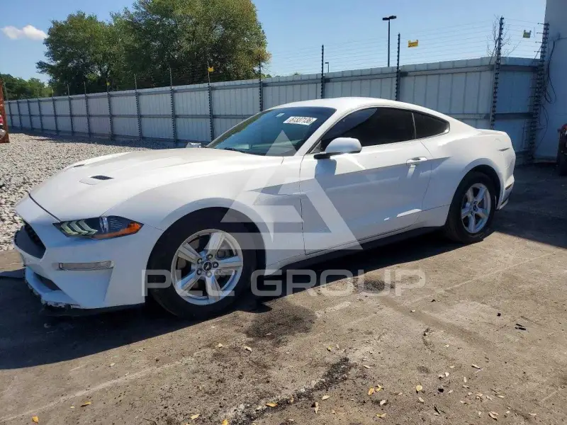 2019 Ford MUSTANG photo