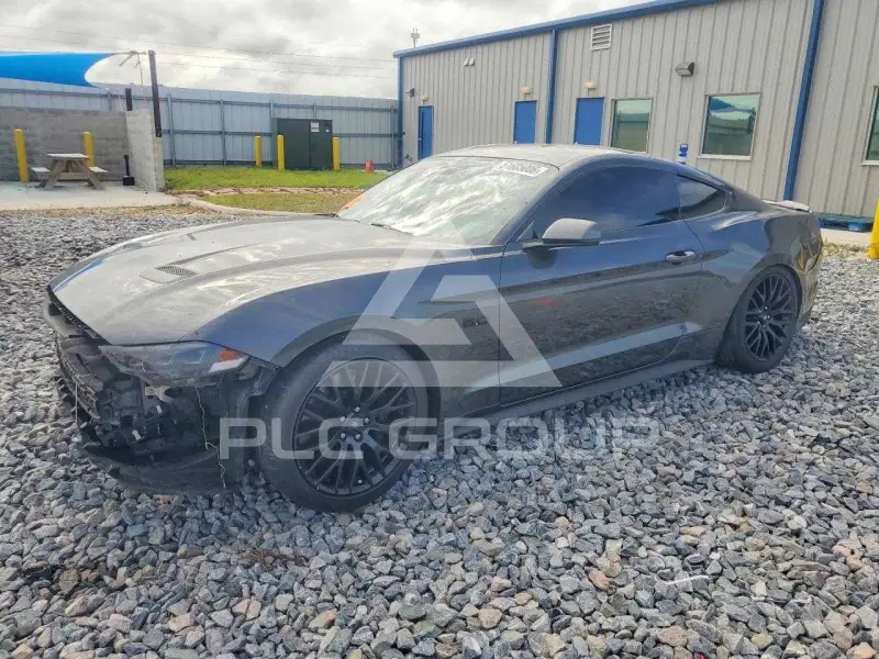 2019 Ford MUSTANG фото
