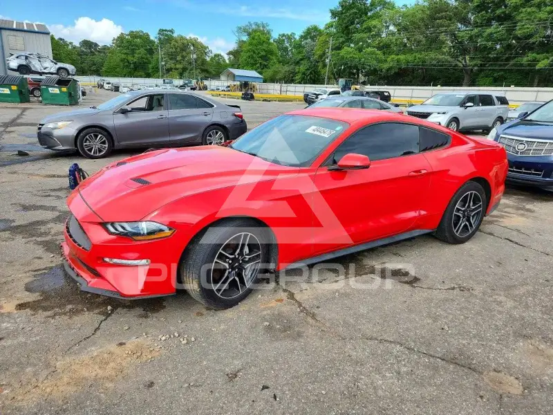 2019 Ford MUSTANG фото