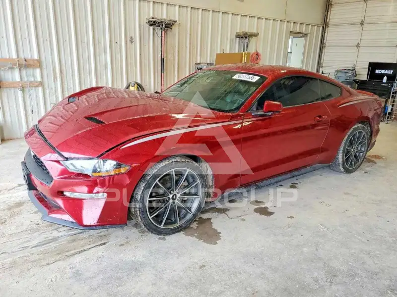 2019 Ford MUSTANG фото