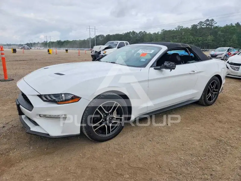 2019 Ford MUSTANG фото
