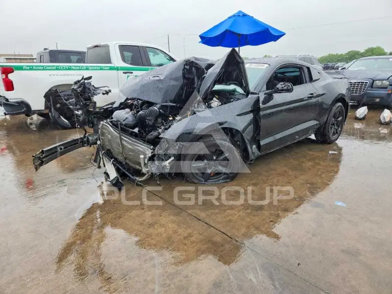 2019 Ford MUSTANG фото