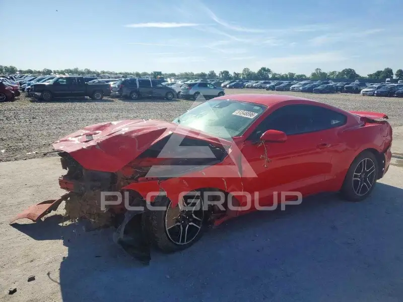 2019 Ford MUSTANG фото
